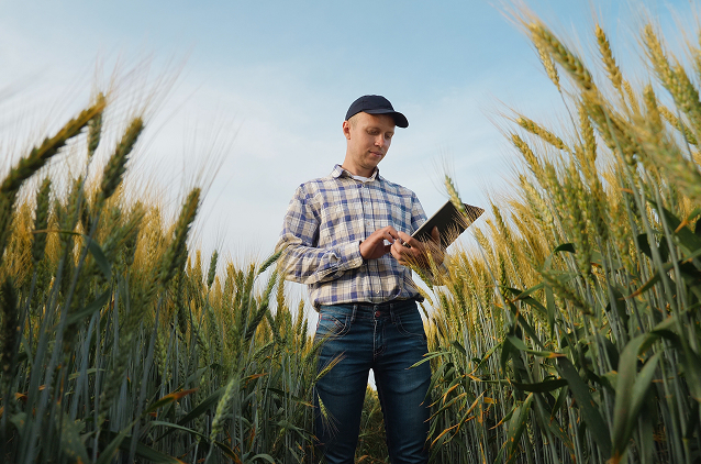 Korzyści z PROCAM SKY SYSTEM